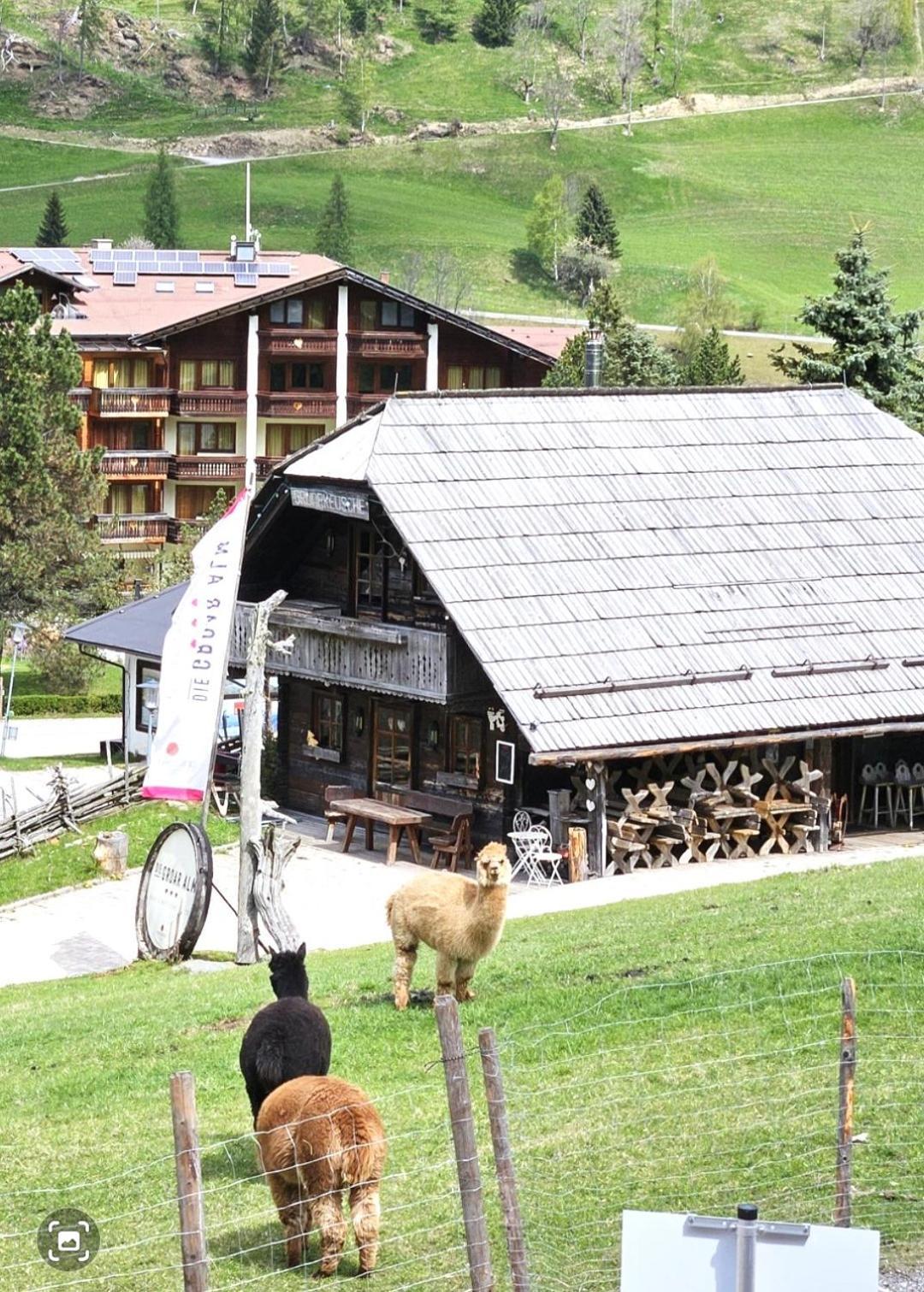 Deluxe Panorama Apartment-Maibrunn-Alm Bad Kleinkirchheim Luaran gambar